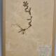 Herbier, 19th