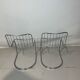 Pair of chairs Gastone Rinaldi