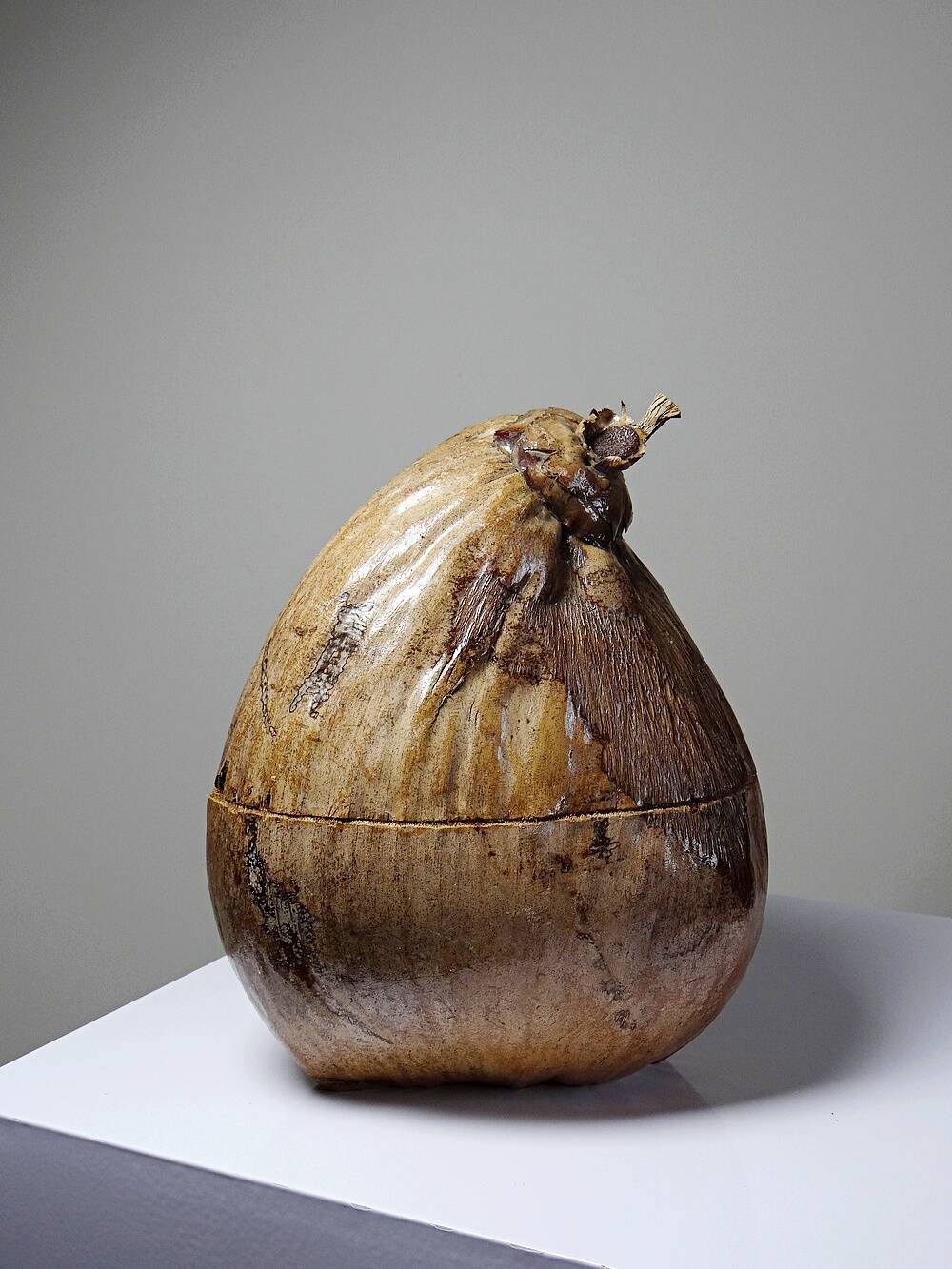 Curiosity vintage box from the 50s-60s, naturalised coconut ice bucket.