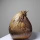 Curiosity vintage box from the 50s-60s, naturalised coconut ice bucket.