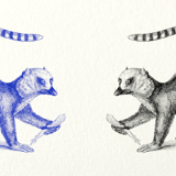 Lemur illustration 1850