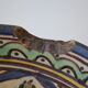 Ancient berbere ceramic dish signed north africa
