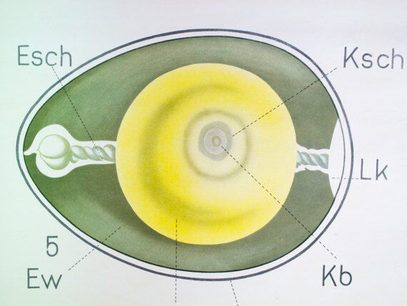 Poster by Gerhard Gembke Berlin