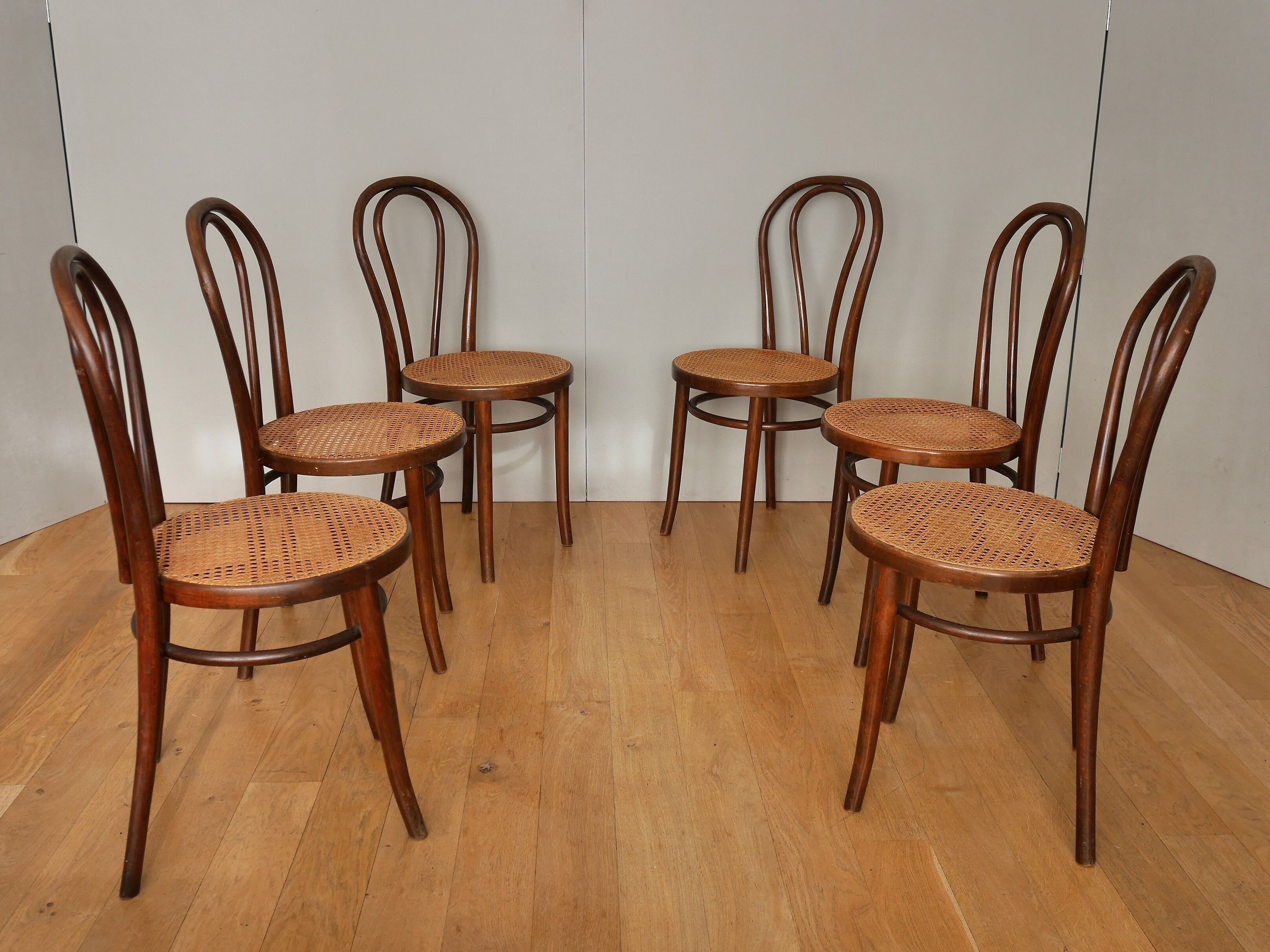 6 Thonet modele chairs