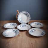 Set 6 hollow plates regency