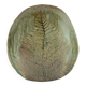 Fern vase in glazed stoneware by Chrislaine Bodin