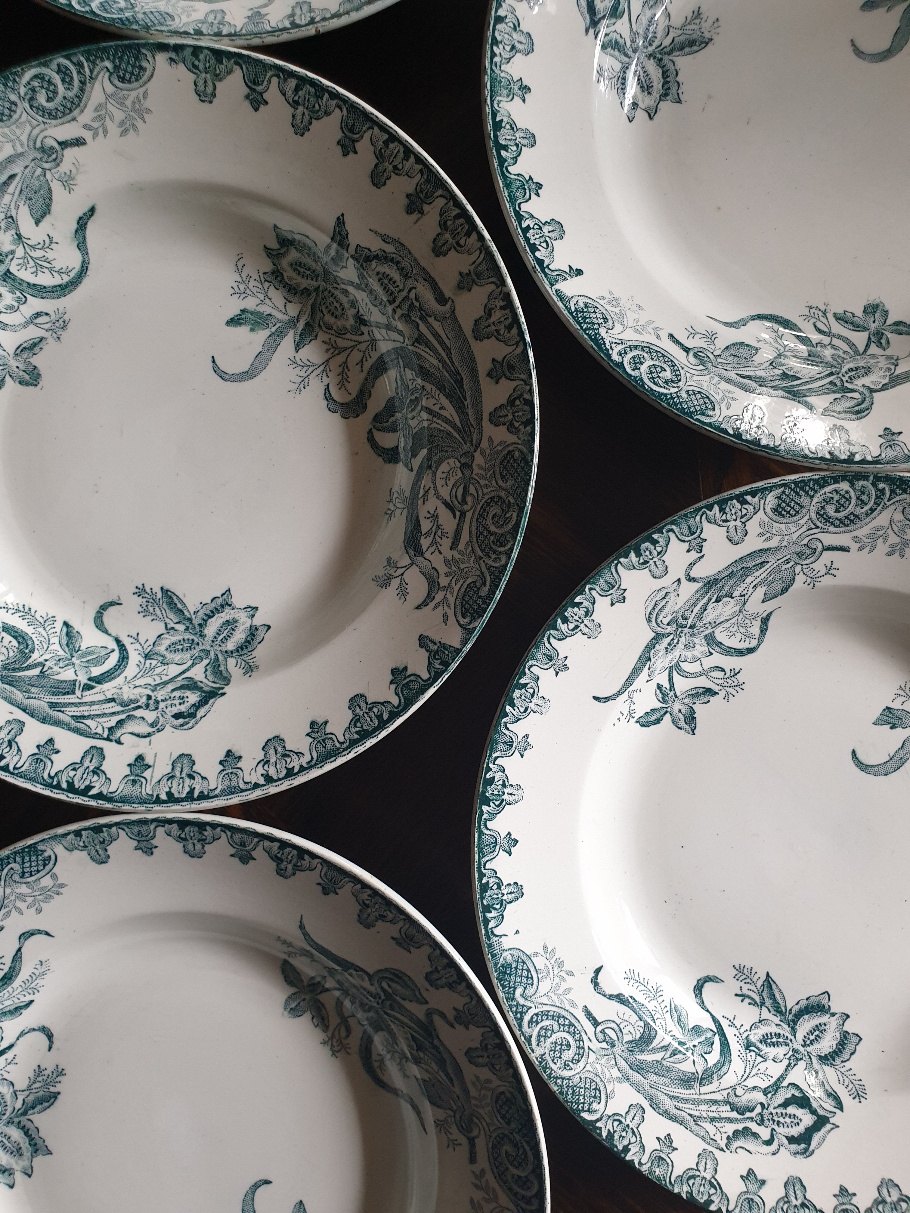 Lot 5 earthenware plates Iron Earth