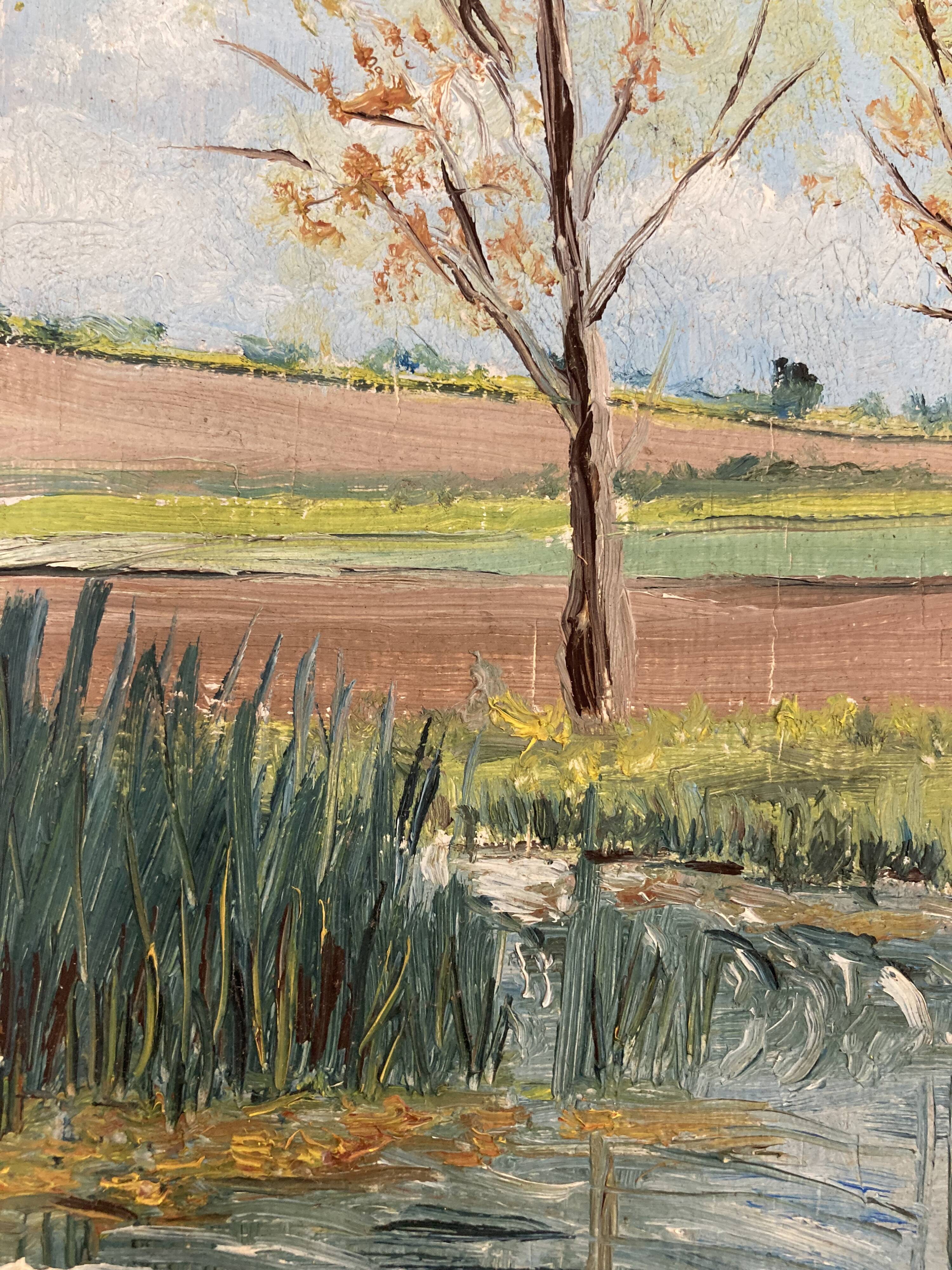 Vintage poplar paint