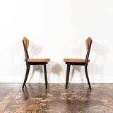 Model No. 124 Dining Chairs by Helena & Jerzy Kurmanowicz, 1960s, Poland, Set of 5