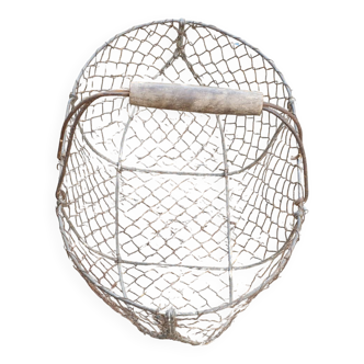 Apple wire basket