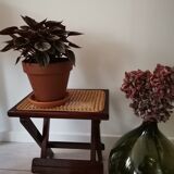 Pair of stools in caning