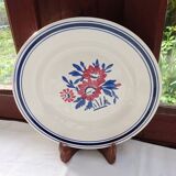 6 Salsola flat plates