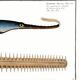 Poster about the sawfish, based on an old engraving from 1746.