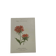 Planche botanique, gravure fleur 1800