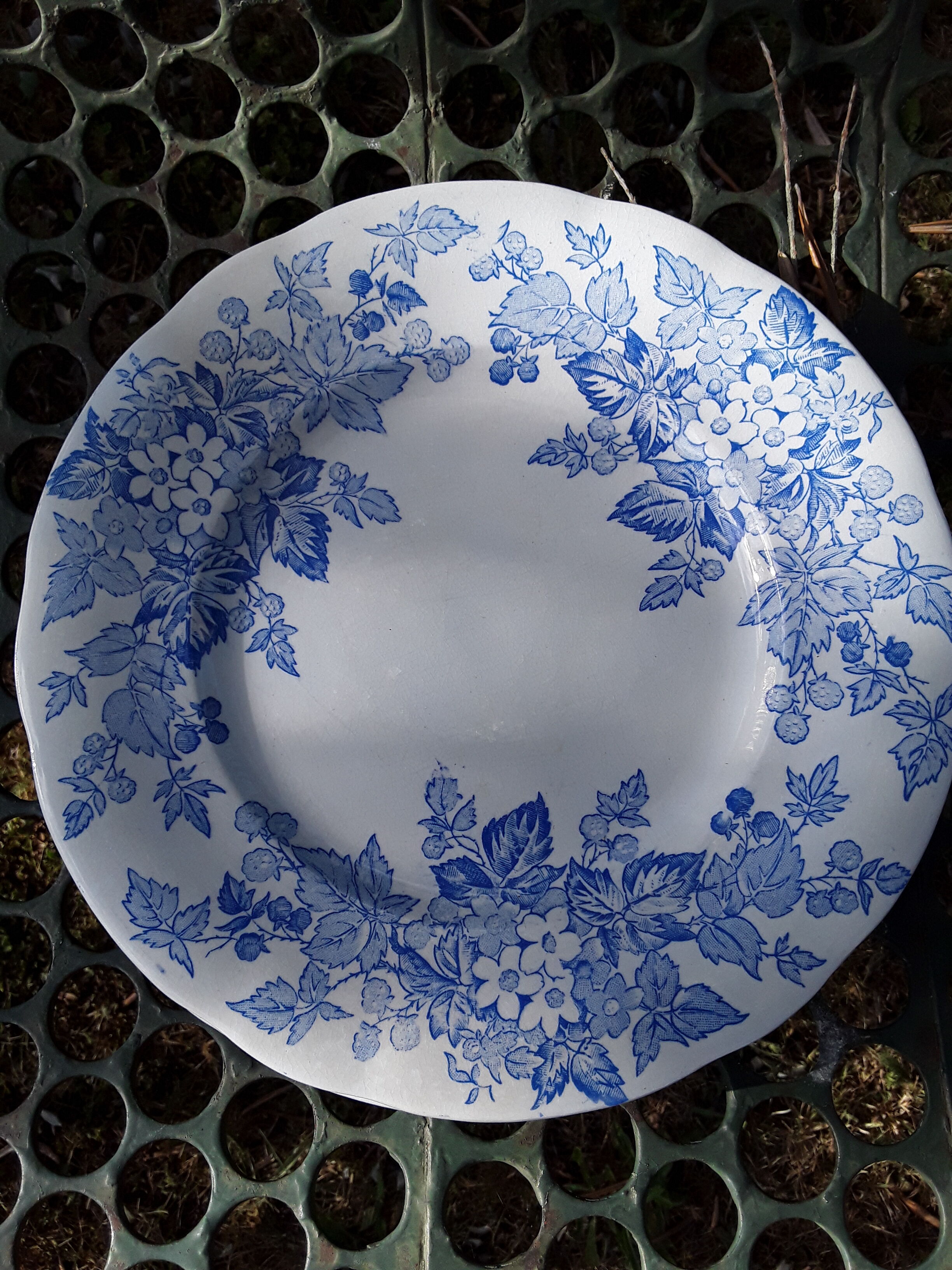 6 plates Sarreguemines Iron Land