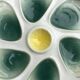 Salins oyster plates France 1960s