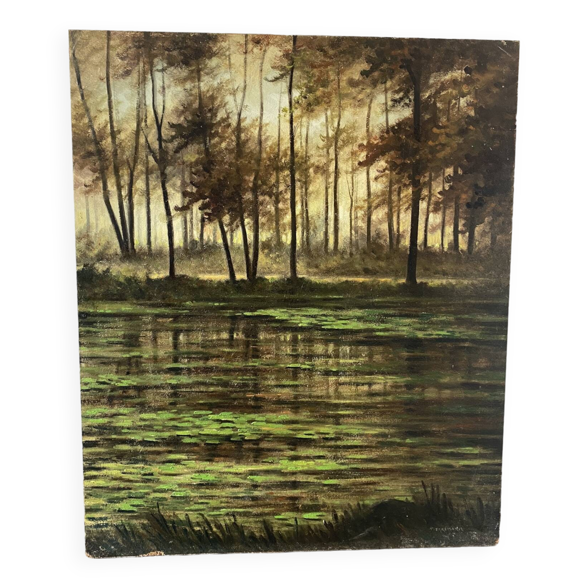 Landscape of the Fontainebleau forest