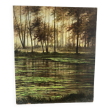 Landscape of the Fontainebleau forest
