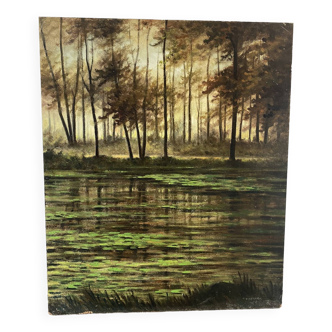 Landscape of the Fontainebleau forest