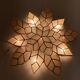 Étoile lumineuse en nacre