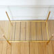 Glass coffee table with magazines holder
