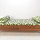 Mid century teak daybed, 1960s