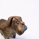 Leather Bulldog ottoman by Dimitri Omersa, England 1960s