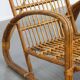 Set of 2 French Rattan Vintage Design Armchairs from the 1950s