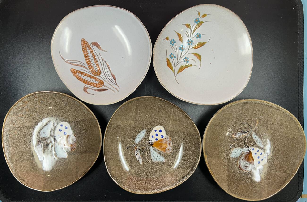 Set of 5 deep plates 21 cm in earthenware from MBFA Pornic model diff.