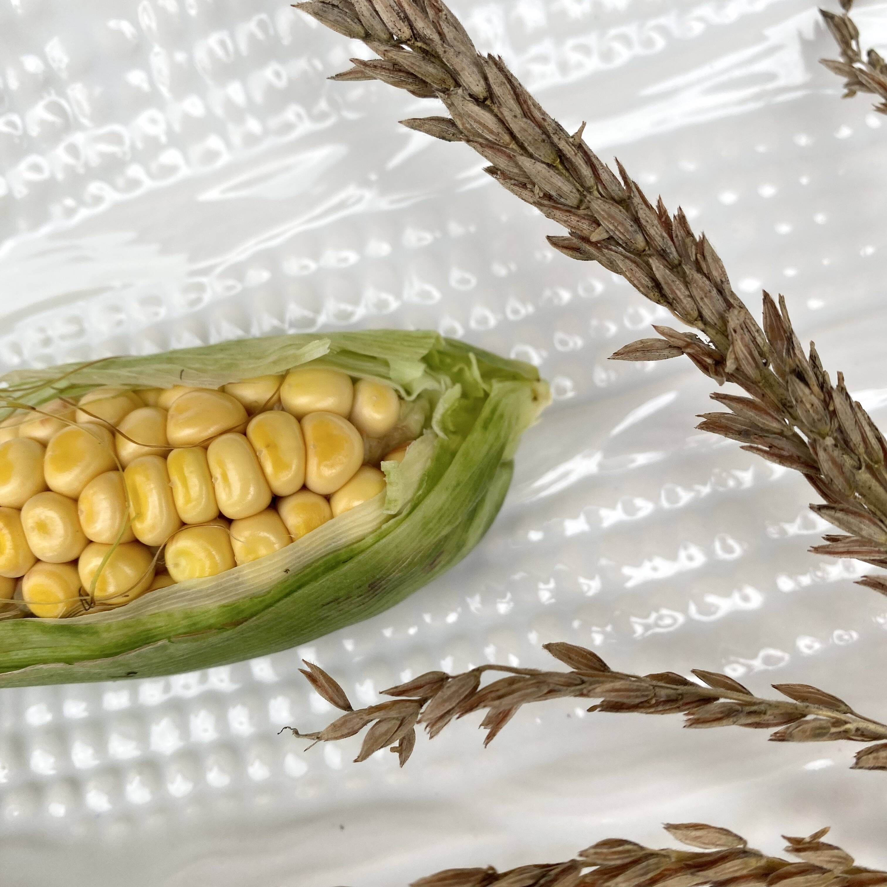 Vintage ceramic corn service from the USA