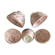 5 rice bowls in fine porcelain