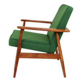 Mid Century Lounge Chair Vintage Moss Wool, Poland 1960