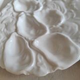 Oyster plate 19th century porcelain Haviland & Co Limoges France