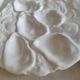 Oyster plate 19th century porcelain Haviland & Co Limoges France