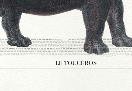 Set of 2 framed chimera lithograph animal engraving