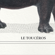 Lot de 2 chimère encadrées lithographie gravure animal