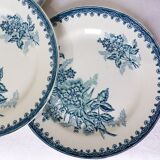 4 flat plates from St Amand, Margot model
