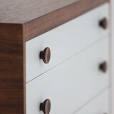 Decorative cabinet in wenge wood designed in the 1970s