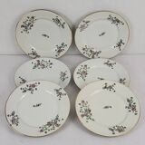 6 flat plates with cornflower decoration