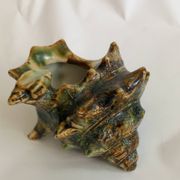 Complete shell tea set