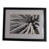 Original photo print numbered and signed by the artist