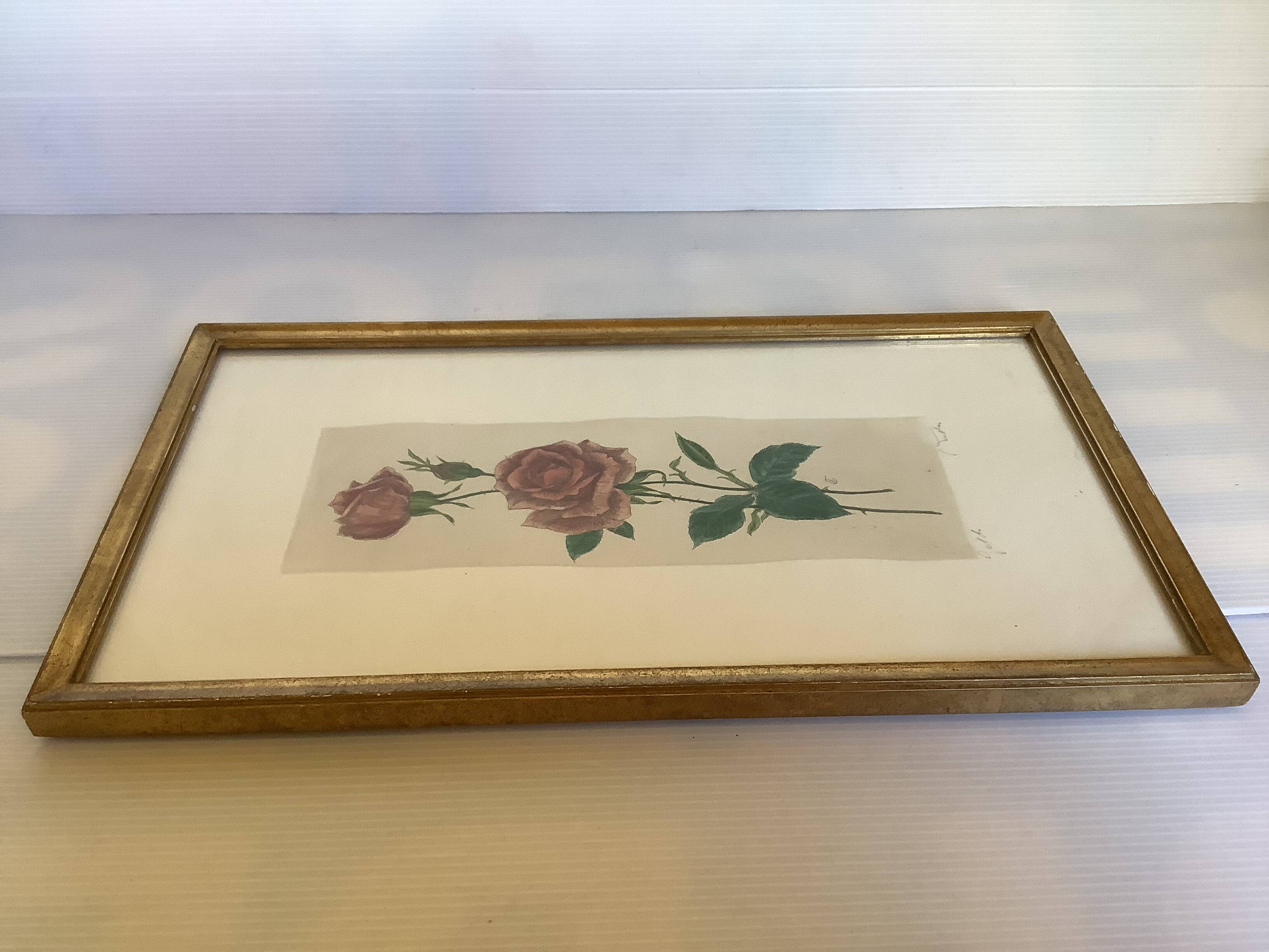 Pink rose flowers frame