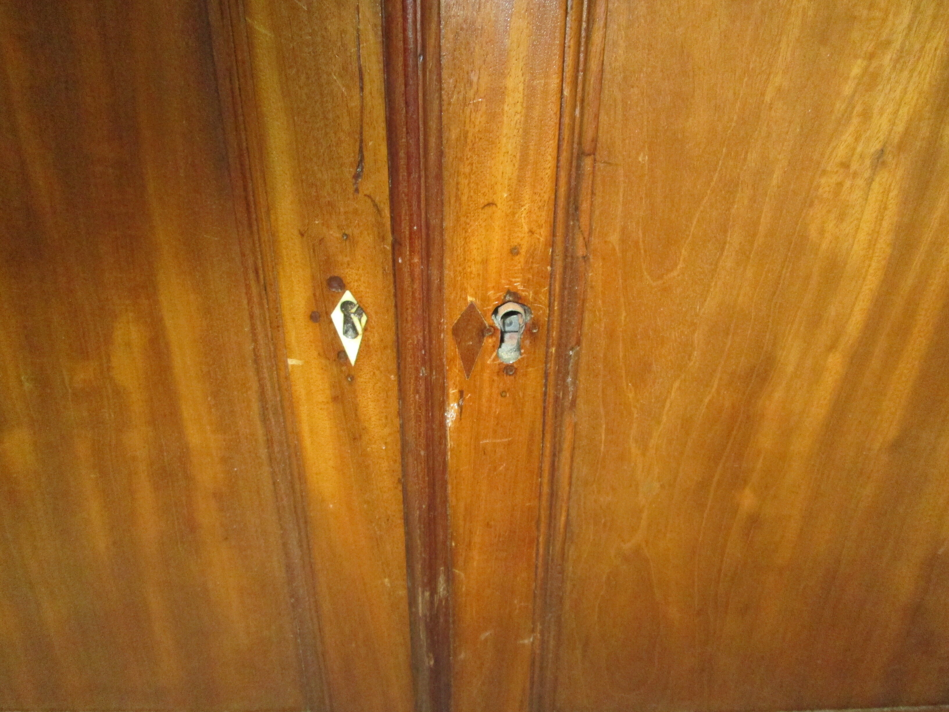 Pair of mahogany doors