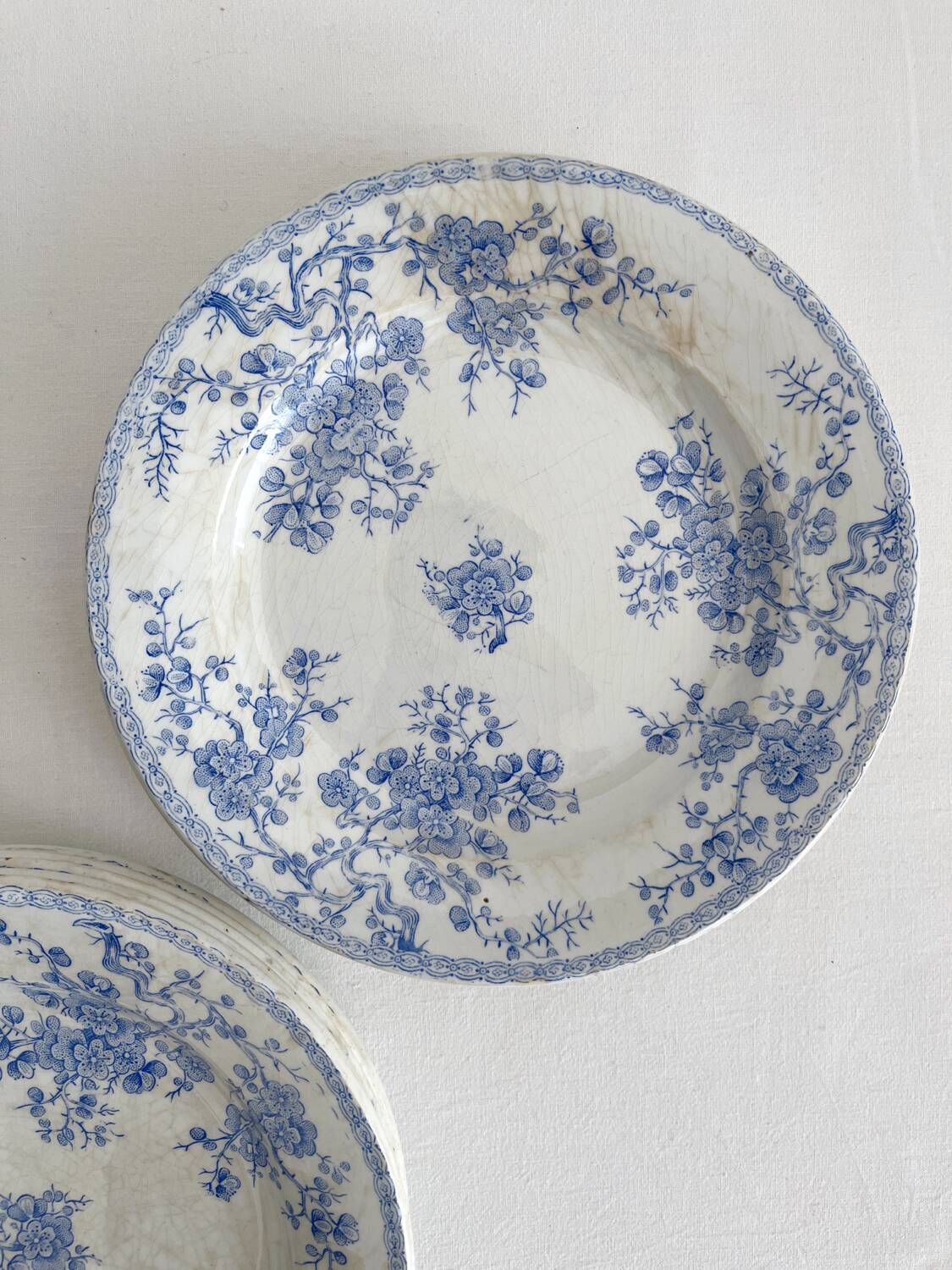 8 flat ironstone plates “Fleurette” Gien
