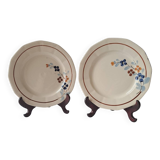 Set of 11 plates model 5041 Digoin Sarreguemines. Vintage ironstone
