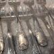 12 silver-plated oyster forks by silversmith Platil St Rocaille