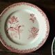 Lot 5 plates Terre de Fer Badonviller Sarreguemines