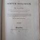 Camellia Japonica botanical board, lithographed and coloured, Sertum Botanicum 1832