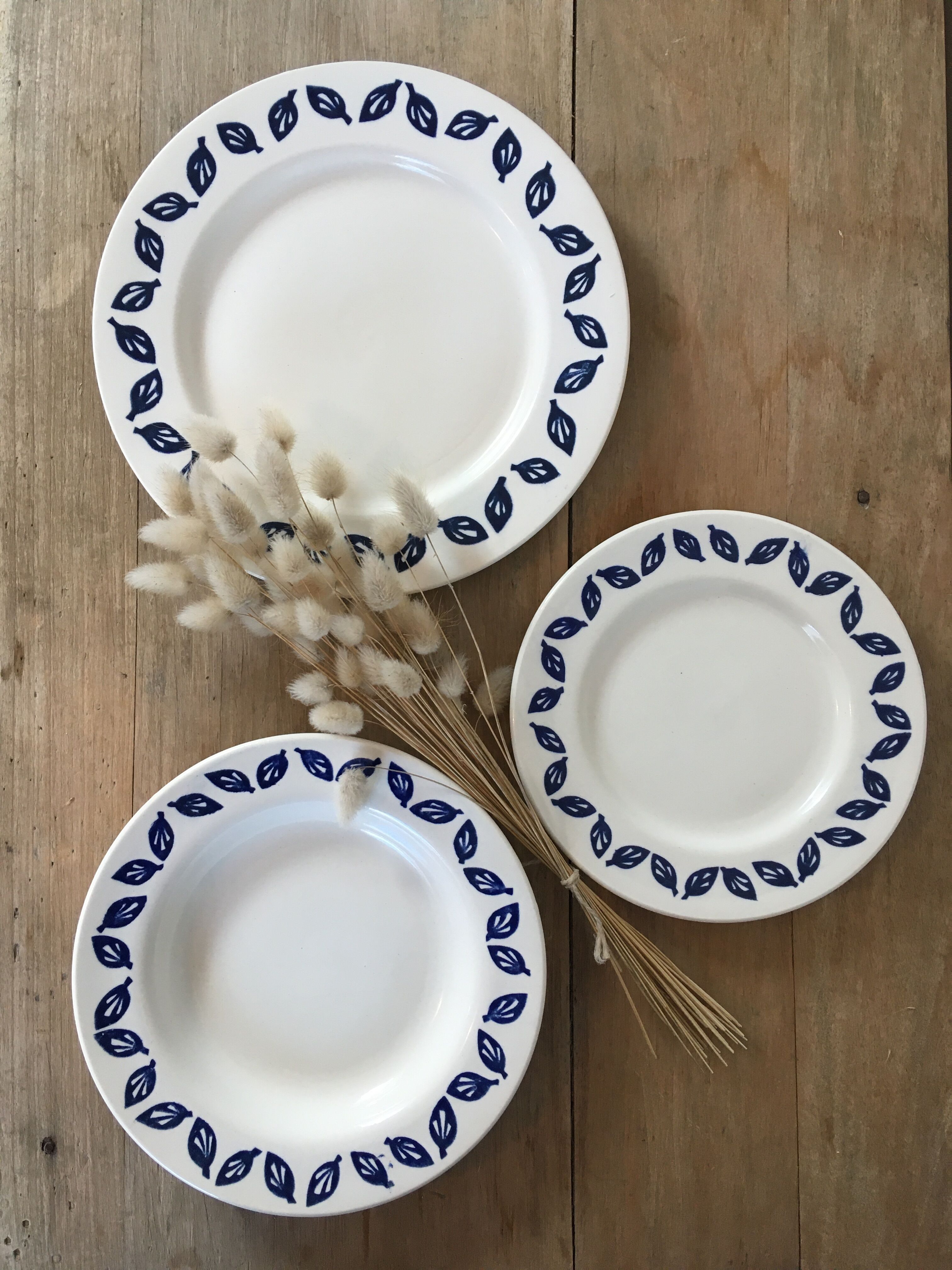 Flat plates blue leaves
