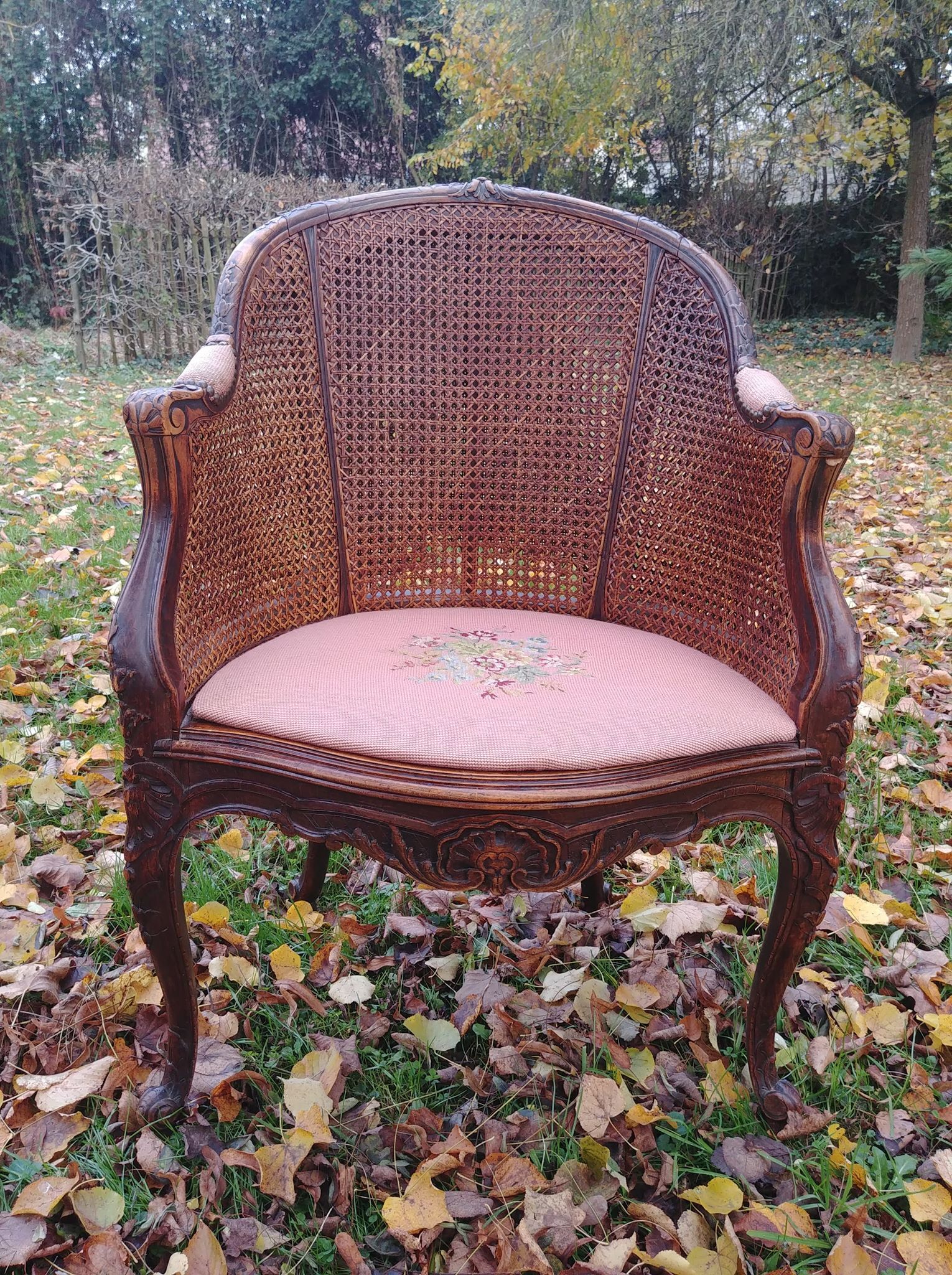 Cane chair